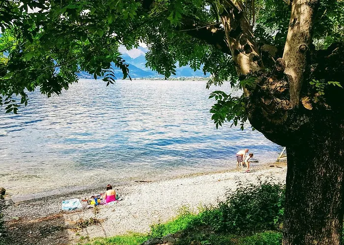 Al By Design * Bellano