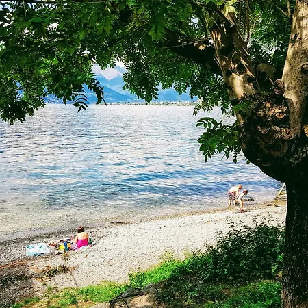 Al By Design * Bellano